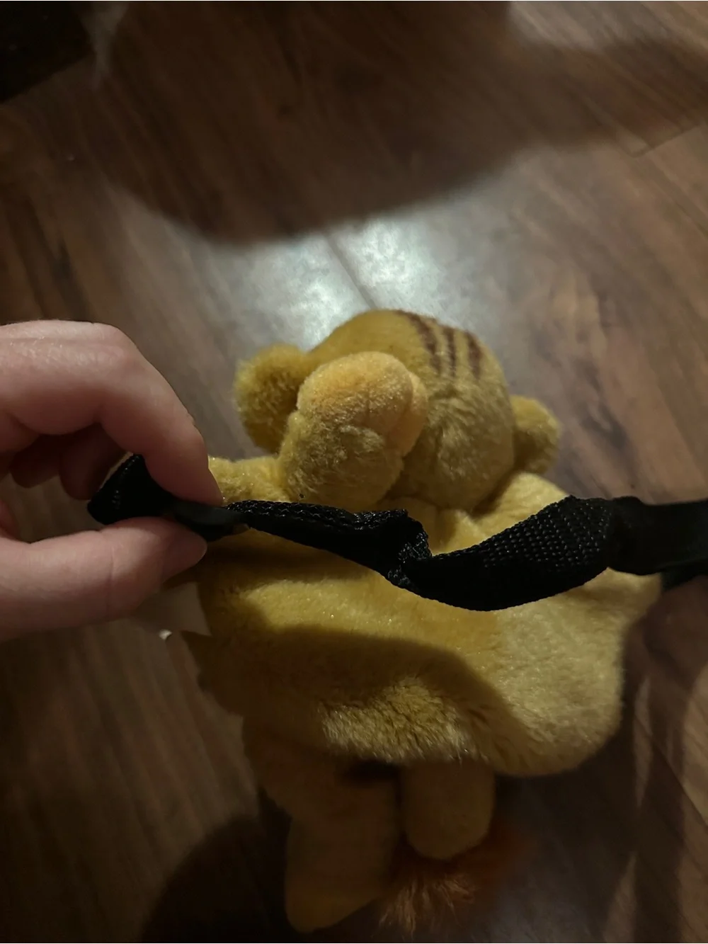 Disney rare find